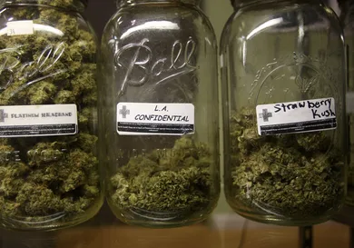 David McNew/Getty Images