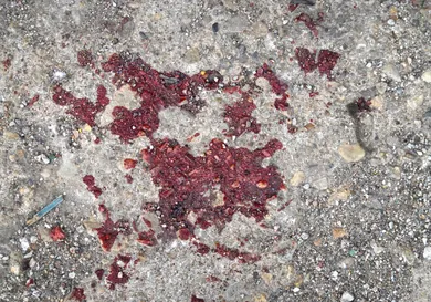 Scott Olson/Getty Images