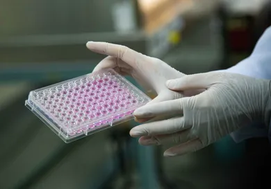 Lauren DeCicca/Getty Images