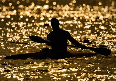 Matthias Hangst / Getty Images