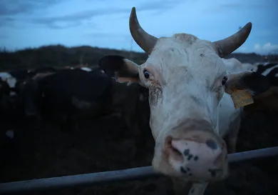 Joe Raedle / gettyimages