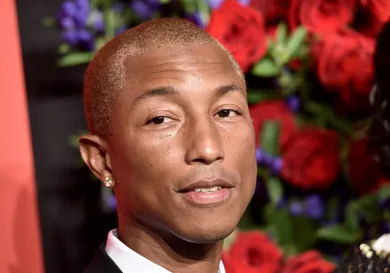 Steven Ferdman / Getty Images