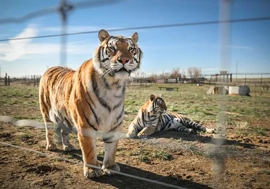 Marc Piscotty/Getty Images
