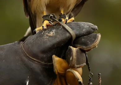 mark Kolbe / gettyimages
