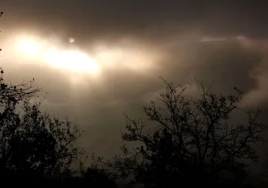 Patrick Aventurier/Getty Images