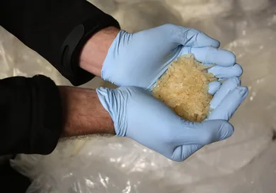 Hannelore Foerster/Getty Images