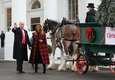 Mark Wilson/Getty Images