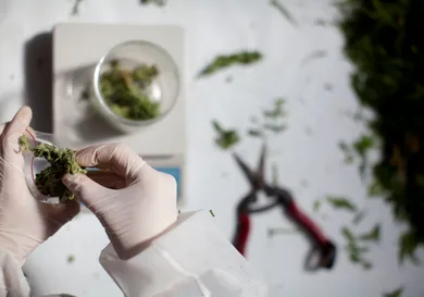 Uriel Sinai/Getty Images