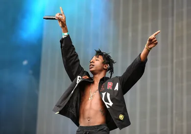 Tim P. Whitby/Getty Images