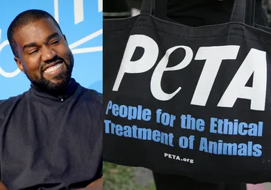 Brad Barket / Stringer / Getty Images, David Livingston / Contributor / Getty Images