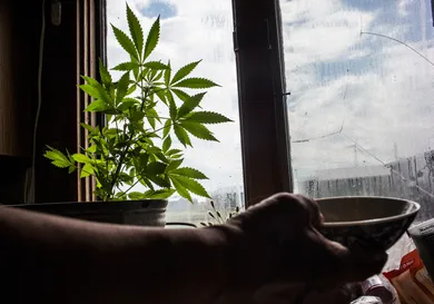 Andrew Burton/Getty Images