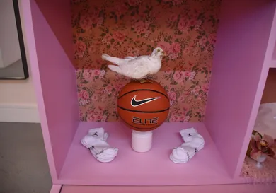 Araya Diaz/Getty Images