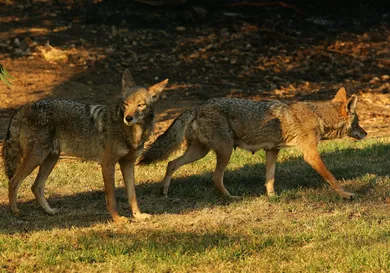 David McNew/Getty Images