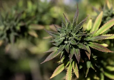 Justin Sullivan/Getty Images