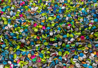 Paula Bronstein/Getty Images