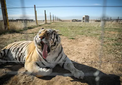 Marc Piscotty/Getty Images
