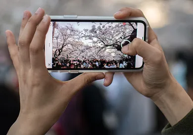 Carl Court/Getty Images