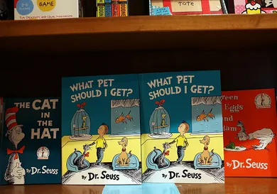 Joe Raedle/Getty Images