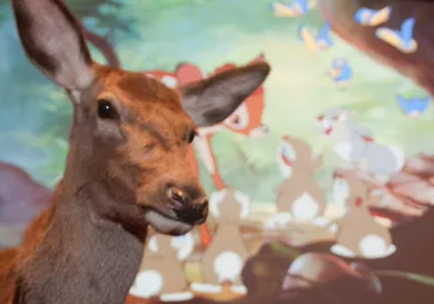 Nick Pickles/WireImage/Getty