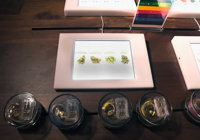 Bryan Steffy/ Getty Images