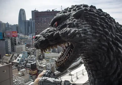 Chris McGrath/Getty Images