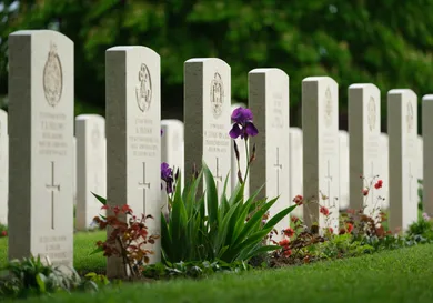 Sean Gallup/Getty Images