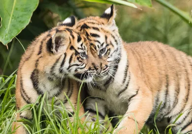 Mark Kolbe/Getty Images