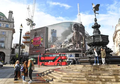 Stuart C. Wilson/Getty Images