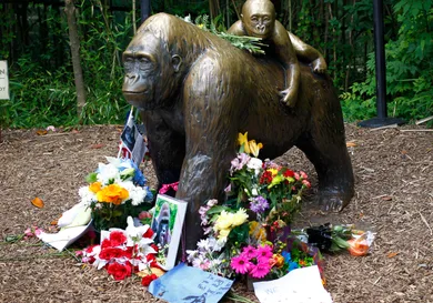 john Sommers II/ gettyimages