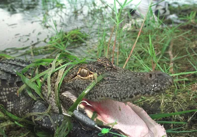 Robert King/Newsmakers/Getty Images
