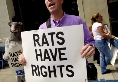 Chris Hondros / Staff / Getty Images