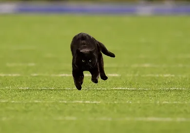 Emilee Chinn/Getty Images