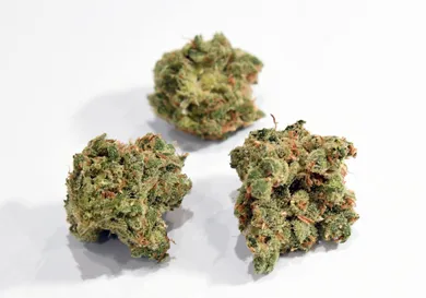 Ethan Miller/Getty Images