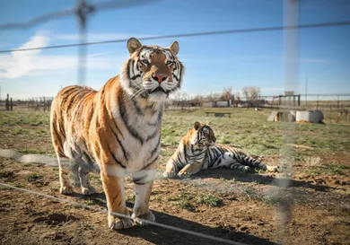 Marc Piscotty / Getty Images