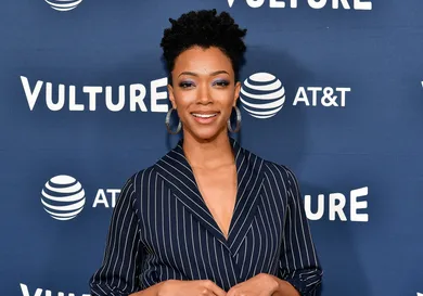 Dia Dipasupil/Getty Images for Vulture Festival