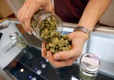 David McNew/Getty Images