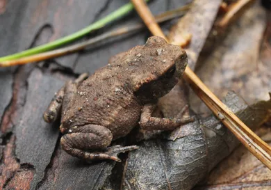 Sean Gallup/Getty Images