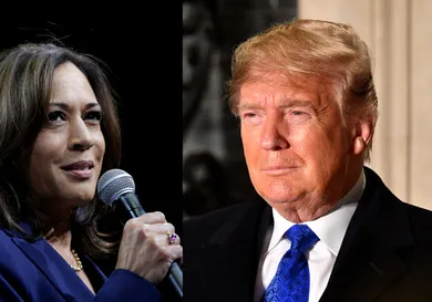 Joshua Lott/Getty Images, Leon Neal/Getty Images