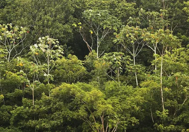 Mario Tama/Getty Images