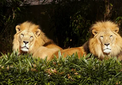 Mark Wilson/Getty Images