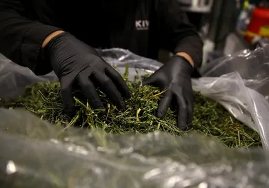 Justin Sullivan/Getty Images