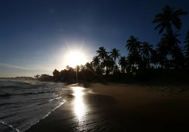 Clive Mason/Getty Images