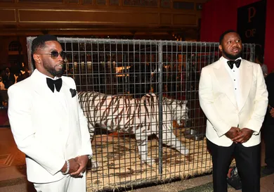 Paras Griffin / Contributor / Getty Images