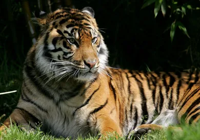 Justin Sullivan/Getty Images