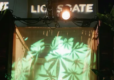 Photo by Frazer Harrison/Getty Images