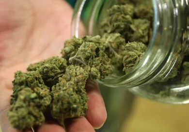 David McNew/Getty Images