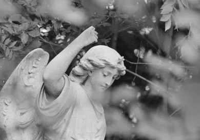 John Downing / Stringer / Getty Images