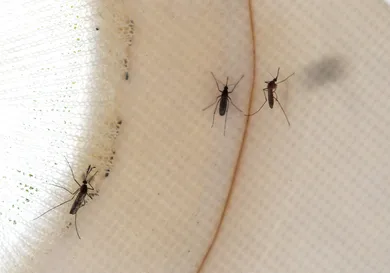 Justin Sullivan/Getty Images