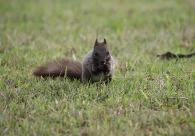 Chung Sung-Jun / Getty Images