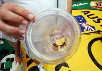 Jonathan Wood/Getty Images